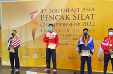 Vietnam win nine golds at regional pencak silat champs