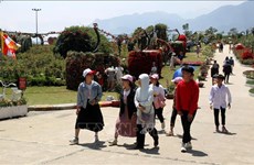 Lao Cai to welcome 4 million tourists in 2022