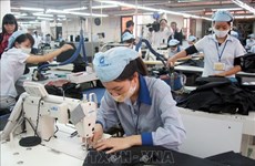  Dong Nai posts trade surplus of over 1.5 billion USD