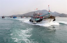 Tien Giang striving to develop sustainable offshore fishing: official