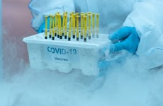 Vietnam receives additional 34 ultra-low freezers from US to store COVID-19 vaccines