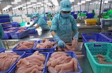 Chances for Vietnam farm produce to strengthen position in global market: insiders