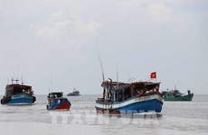 Ba Ria-Vung Tau increases inspections to fight IUU fishing