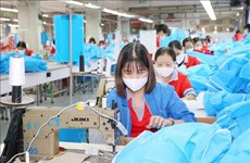 Vietnam’s garment-textile industry seeks to promote “green” production 