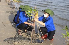 UNDP helps Vietnam strengthen women’s resilience to climate change 