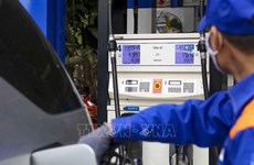 Gov’t approves draft resolution on environmental protection tax on petrol