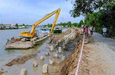 Erosion worsening along Mekong Delta rivers, coast