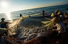 Greater efforts to fight IUU fishing towards sustainable fisheries