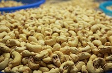 MoIT steps in to support exporters in Italy cashew nut scam 