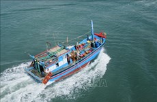 Localities enhance offshore fishing capacity