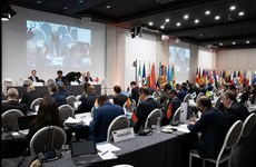 Vietnam attends extraordinary session of Ministerial Conference of Francophonie