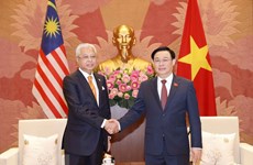 NA always treasures Vietnam-Malaysia strategic partnership: Top legislator