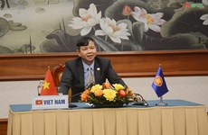 Vietnam attends ASEAN defence cooperation conferences