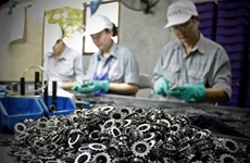 Low level of car production holds back Vietnamese auto part suppliers