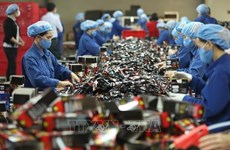 Foreign investors interested in Vietnam's future workforce 