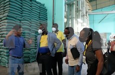 Gabonese trade minister explores rice production in Long An