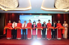 Da Nang launches economic and efficient use of energy awards 
