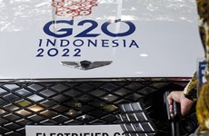 Indonesia proposes standardisation of G20 travel rules