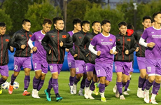 Vietnam face challenges before clash with Japan