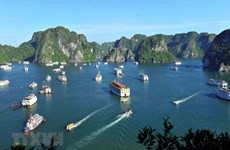 Ha Long introduces new marine tourism products