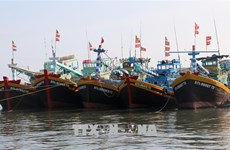 Binh Thuan striving to develop fisheries sustainably