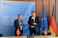 Friendship, cooperation conducive to Vietnam-Germany energy collaboration: official  