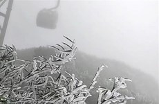 Frost covers Fansipan peak in mid-spring