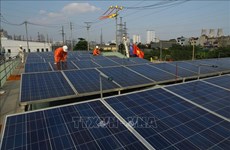 Vietnamese, British firms develop rooftop solar power systems