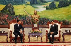 Hanoi prioritises friendship, cooperation with Lao localities: official