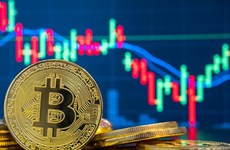 Online searches for 'cryptocurrency' rise sharply during pandemic