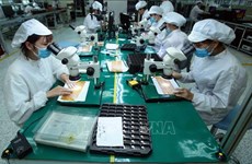 Vietnamese employees' average monthly income in Q1 increases sharply