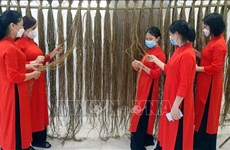 Quang Ninh exhibition highlights Ao Dai made of silk, hemp 
