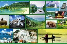 Seminar looks to popularise Vietnamese destinations to Germans