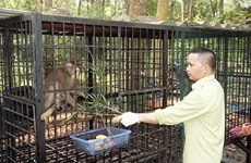 National parks in central provinces work to protect wildlife