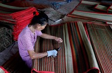 Long An to support handicraft villages, rural livelihoods