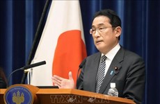 Japan considers Vietnam extensive strategic partner: Official