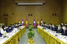 Vietnam, Laos hold ninth foreign ministerial-level consultation meeting