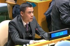 Vietnam calls for international solidarity to ensure financing for development