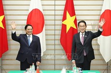 Vietnam-Japan relations growing robustly: expert 