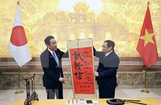 Vietnam-Japan: warm, sincere, trustful relationship