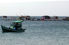 Kien Giang develops marine aquaculture