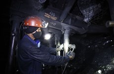 Coal miners expect good year on higher demand, rising prices