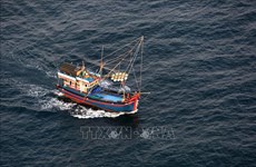 VINAFIS slams China’s fishing ban in East Sea