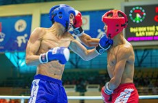 SEA Games 31: Kickboxing begins in Bac Ninh