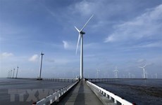 Large foreign firms interested in Vietnam’s offshore wind power industry