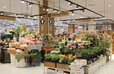   Vietnam’s flowers gain foothold in Japanese market
