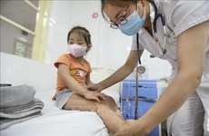 Vietnam detects no mystery hepatitis, urged to monitor disease