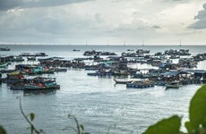 “The blue economy scenarios for Vietnam” report launched