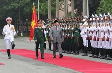 Vietnam, Indonesia agree to advance defence ties