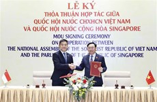 Singaporean, Vietnamese legislatures to strengthen cooperation: Parliament Speaker